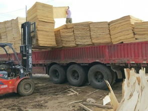 江蘇徐州豐縣蘇寧木業廠家直銷 優質木材加工與批發服務