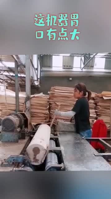木材加工廠的“大胃王” 高效自動化設備的雙刃劍