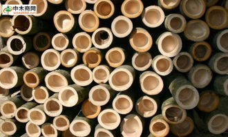 一站式服務(wù)，盡在中木商網(wǎng) 木材采購(gòu)與資訊的首選平臺(tái)